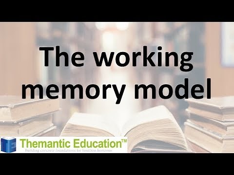 A brief summary of the working memory model - IB Psychology