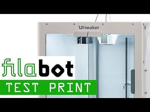 Ultimaker S5 3D Printer - Setup and First Use with Official Test Print