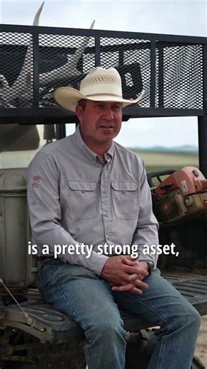 Wild Horse Basin Ranch: Productive Wyoming Cattle Ranch for Sale