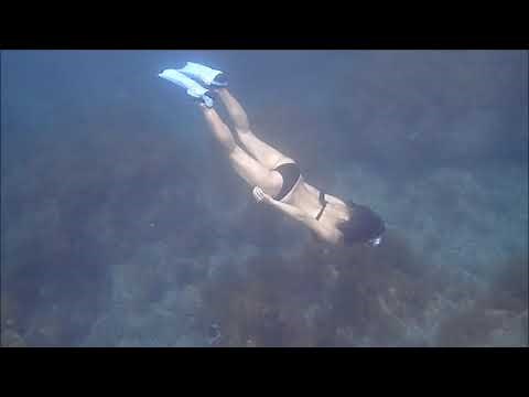 水中写真集「美海２」発売！ビキニ素潜り動画