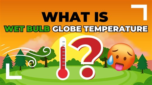 What is the wet bulb globe temperature?