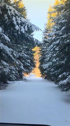 First One Out - Snow In Season 2025