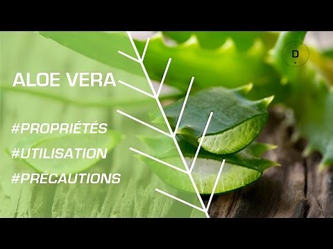 How to use aloe vera? Phytotherapy