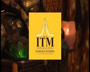 3.7K views | Therapy Massage Practitioner Program | ITM Thai Hand International Training Massage School Amsterdam | Facebook