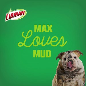 5.6K views · 105 reactions | Libman and mops go together like, well, Max and mud. | The Libman Company | Facebook