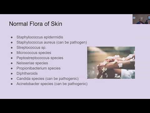 Normal Flora of Skin