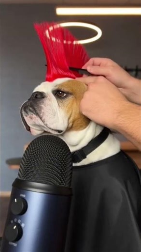 ASMR COIFFURE PUNK #asmr #asmrsounds #asmrfrançais #asmrvideo