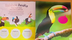 ✅Incredible Fold-Out book of Animals✅ Age 6+ 50,000 Kyats per book  Myanmar Book Centre No.55, Baho Road Corner of Baho & Ahlone Road Ahlone Township Yangon 09 420144706, 09 73015993 | Book Land by Myanmar Book Centre | Facebook