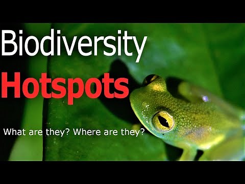 What are Biodiversity hotspots?