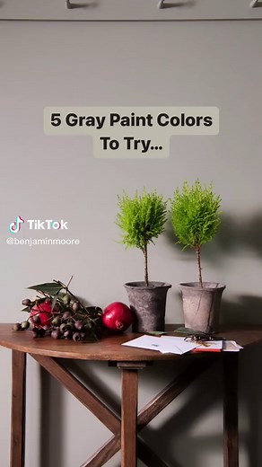 Not sure where to begin when selecting a gray paint color? Here are 5 stunning options to start with—hand picked by our color experts. Which one have you tried? . Sample one or all of them now while our paint color samples are 50% off through 1/8/23. Use the code NEWYEAR in your cart at benjaminmoore.com. See site for terms. #BenjaminMoore #Paint #PaintColors #DIY #BenjaminMoorePaint #InteriorDesign #Gray #PaintTok