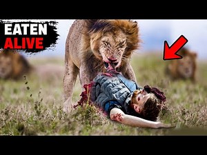The TERRIFYING Story Of A Man Who Got EATEN Alive By A Lion