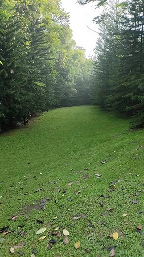 Nature is layp 🤩💖 | Cotangent