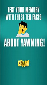 Why Do We Yawn? (It’s Not Just Because You’re Tired) 🥱 #Cram #QuizTime #Quiz