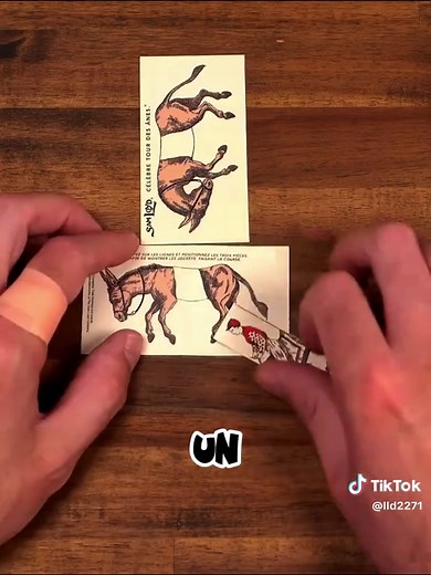 Solución puzzle de los jinetes y los caballos — cómo encajar las piezas