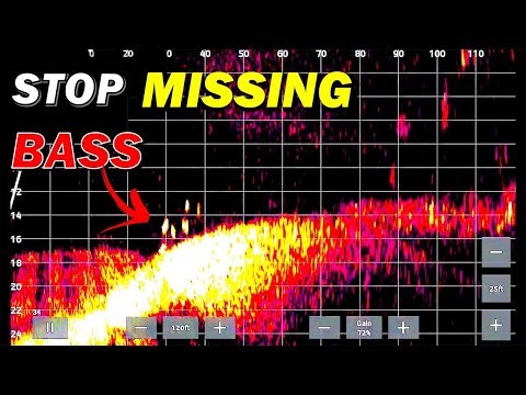 I Discovered The SECRET to Finding Bass on The Bottom with Livescope