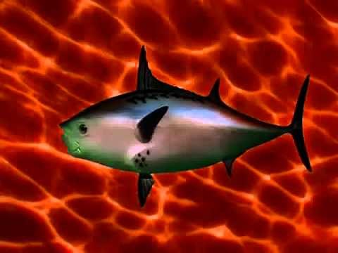 SpongeBob Intro (Acapella!)