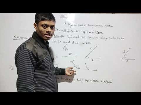 Vectors 01| Introduction and properties| class 11 physics