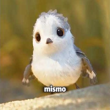 Este pajarito está aprendiendo a ser independiente. #movie #peliculas #shorts