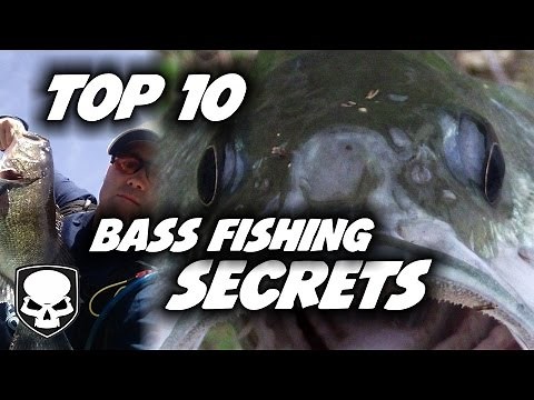 Top 10 Bass Fishing Tricks - for beginners - Tips and Tricks for Catching Bass