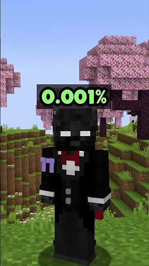minecrafts HARDEST record