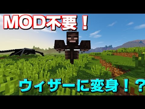 【Minecraft】MOD不要！MOBに変身する！？【コマンド紹介】