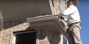 Rodent & Wildlife Control | San Antonio, TX | ABC Home & Commercial Services