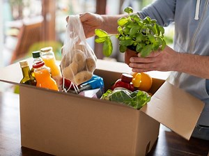 How To Apply For Food Stamps: Fighting Hunger In America