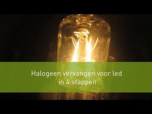 halogeen vervangen voor led in 4 stappen