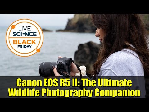 Canon EOS R5 II: The Ultimate Wildlife Photography Companion