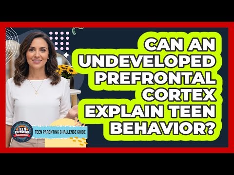 Can An Undeveloped Prefrontal Cortex Explain Teen Behavior?