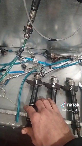 evtushenko_bogdan на TikTok