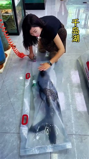 Live fish packing and supply for tank to markets.