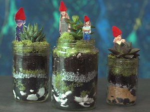 How to make a DIY mason jar terrarium - Today's Parent