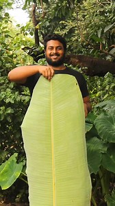 Film industry on Reels