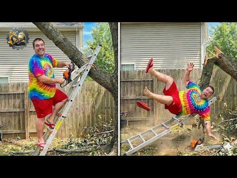 Idiots With Chainsaws: Tree Cutting Fails | Extreme Dangerous Logging Truck Fails #14