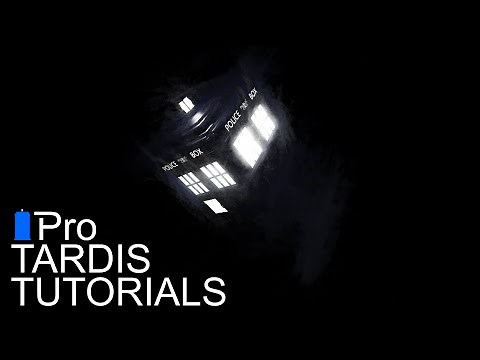 Pro-TARDIS: Flight