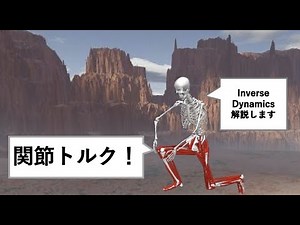 OpenSimで歩行時の関節トルクを算出！Inverse Dynamics解説！理学療法PTバイオメカニクス研究#5