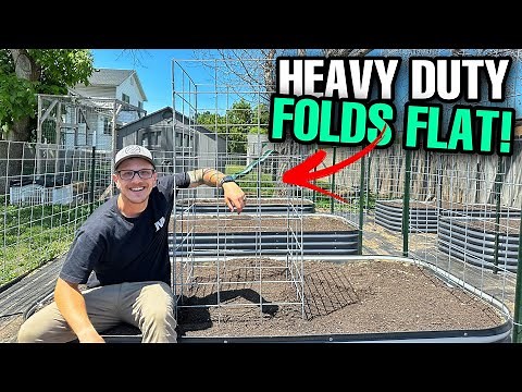 The BEST DIY Tomato Cage! Heavy-Duty and FOLDS FLAT!