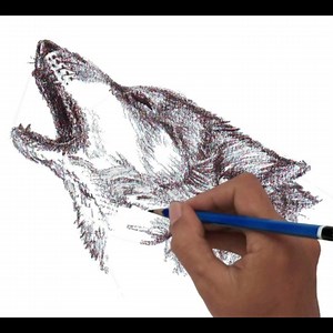 335K views · 18K reactions | How to draw a wolf's head from different angles and expressions ... | Veri Apriyatno Artist | Facebook