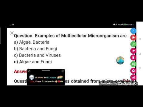 Examples of Multicellular Microorganism are :--