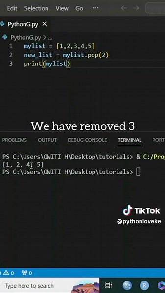 Python Love on TikTok