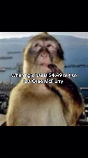 Discover the Best Language Learning Apps Today