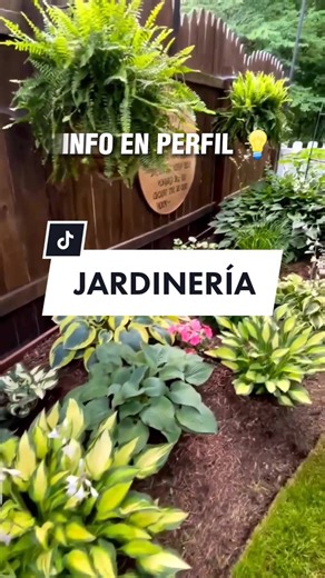 Aprende Jardinería: Tips y Talleres para tu Jardín