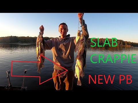 Massive Michigan Crappie! (Spring Crappie Fishing)