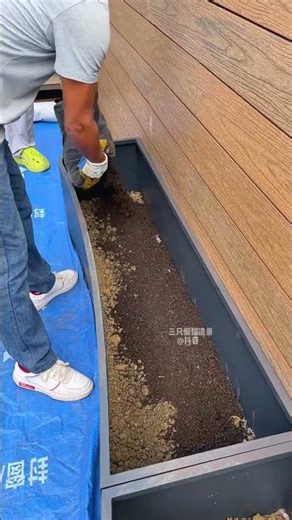 Terrace renovation: green plant landscape #beforeandafter