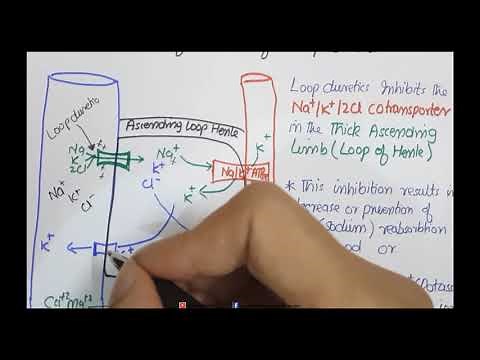 Loop Diuretics (furosemide) Mechanism of Action and Pharmacology