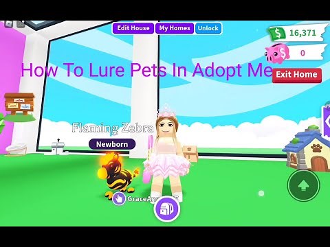 Adopt Me Update! New Legendary Lion, Zebras, & How To Use Bait To Lure Pets! See The Cozy Home Lure!