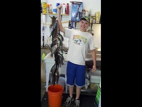 Crappie Killer Rig - Best Crappie Rig EVER