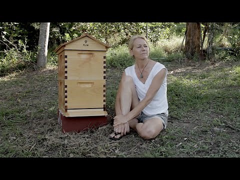 Beginner Beekeeping Ep 2 - Situating your Flow™ Hive