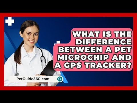 What Is The Difference Between A Pet Microchip And A GPS Tracker? - PetGuide360.com